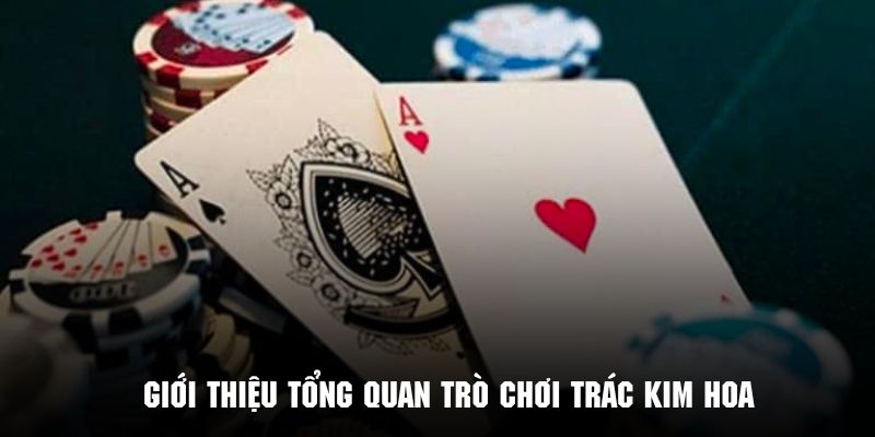 Tìm hiểu sơ lược về game bài Trác Kim Hoa hấp dẫn